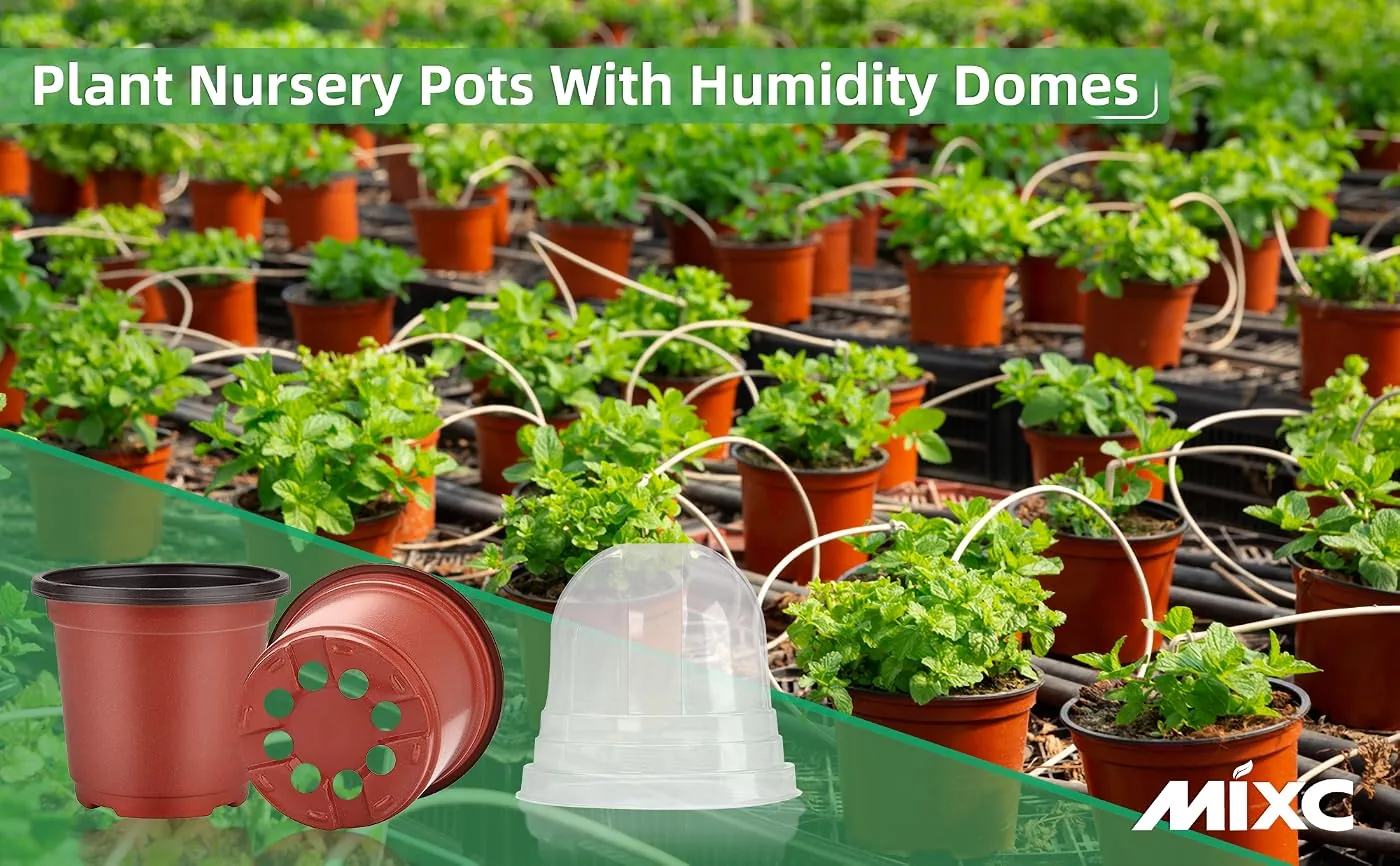 mixc nursery pots content 1